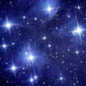 Meet your Posher, Jayla